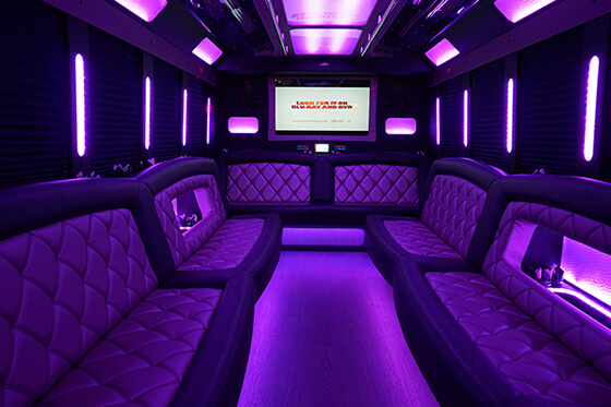 30-passenger party bus